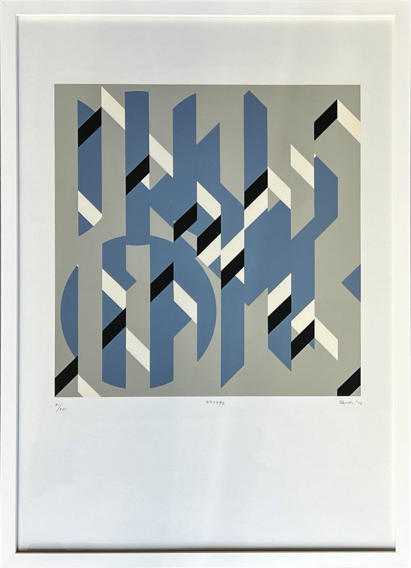 srnec 02 grafika1 1